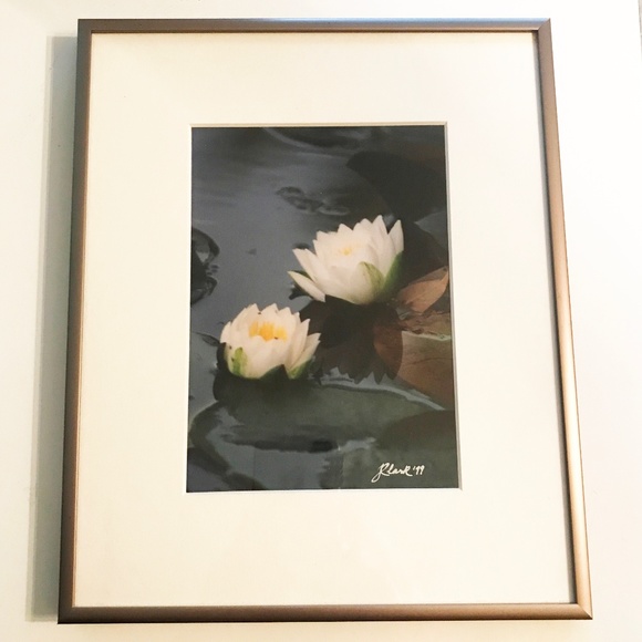 NATURE PHOTO "WATERLILIES" - Picture 1 of 1